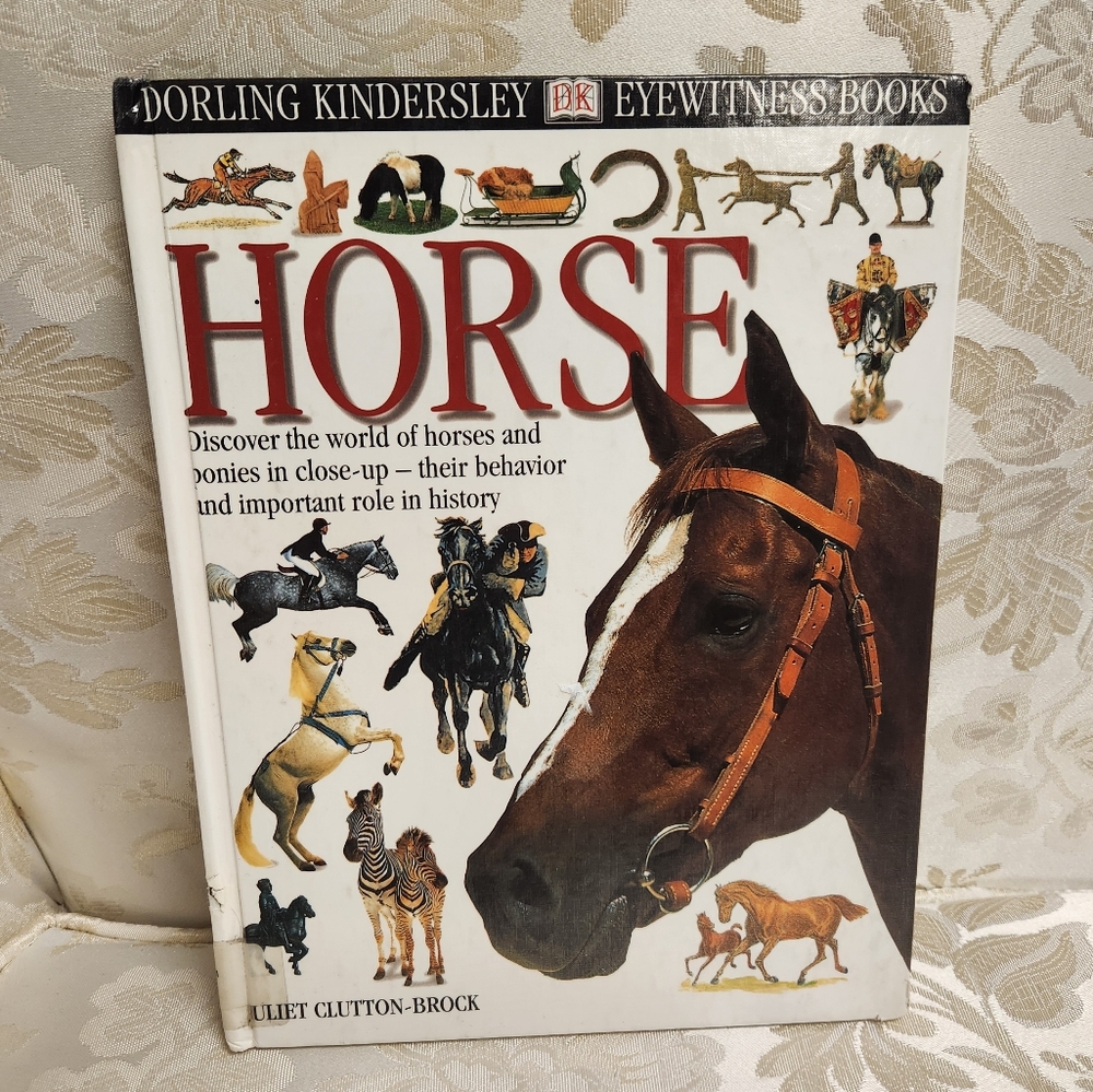 EyeWitness Vintage Books Lot Of 5! Horse, Cat, Music, Mummy , & Costume - Picture 2 of 16